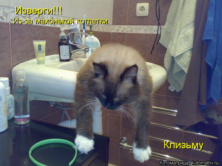 Изверги!!! Из-за махонькой котлетки Клизьму... Котоматрица: Изверги!!! Из-за махонькой котлетки Клизьму