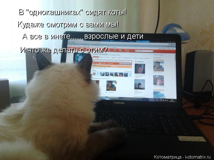 В "однокашниках" сидят коты! Кудаже смотрим с вами мы! А все в инете......взрослые и дети И что же де... Котоматрица: В "однокашниках" сидят коты! Кудаже смотрим с вами мы! А все в инете......взрослые и дети И что же делать с этим?