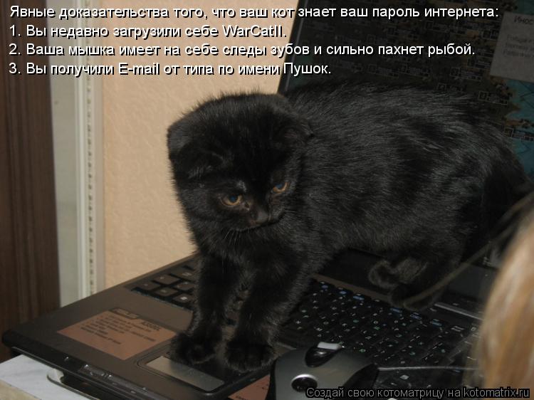 Явные доказательства того, что ваш кот знает ваш пароль интернета: 1. Вы недавно загрузили себе WarCa... Котоматрица: Явные доказательства того, что ваш кот знает ваш пароль интернета: 1. Вы недавно загрузили себе WarCatII. 2. Ваша мышка имеет на себе следы зубов и