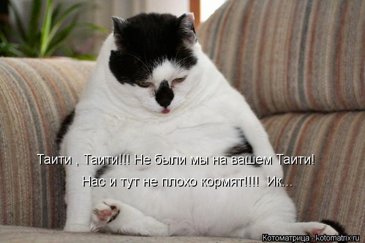 Таити , Таити!!! Не были мы на вашем Таити! Нас и тут не плохо кормят!!!! Ик...... Котоматрица: Таити , Таити!!! Не были мы на вашем Таити! Нас и тут не плохо кормят!!!! Ик...