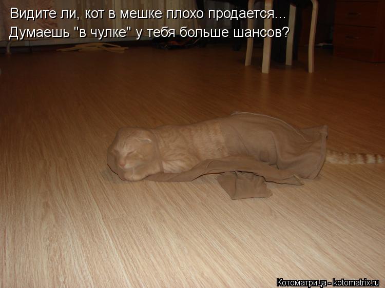 Видите ли, кот в мешке плохо продается... Думаешь "в чулке" у тебя больше шансов?... Котоматрица: Видите ли, кот в мешке плохо продается... Думаешь "в чулке" у тебя больше шансов?