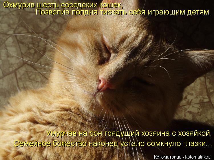 Охмурив шесть соседских кошек, Позволив полдня тискать себя играющим детям, Умурчав на сон грядущий х... Котоматрица: Охмурив шесть соседских кошек, Позволив полдня тискать себя играющим детям, Умурчав на сон грядущий хозяина с хозяйкой, Семейное божество