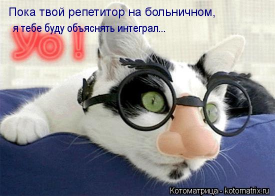 Пока твой репетитор на больничном, я тебе буду объяснять интеграл...... Котоматрица: Пока твой репетитор на больничном, я тебе буду объяснять интеграл...