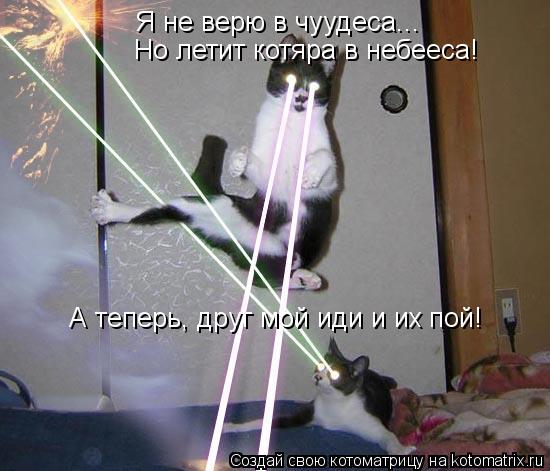 Я не верю в чуудеса... Но летит котяра в небееса! А теперь, друг мой иди и их пой!... Котоматрица: Я не верю в чуудеса... Но летит котяра в небееса! А теперь, друг мой иди и их пой!