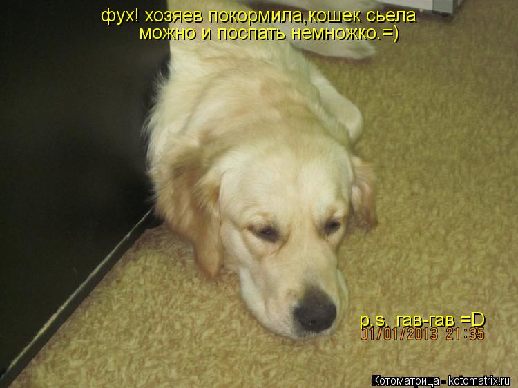 фух! хозяев покормила,кошек сьела можно и поспать немножко.=) p.s. гав-гав =D... Котоматрица: фух! хозяев покормила,кошек сьела можно и поспать немножко.=) p.s. гав-гав =D