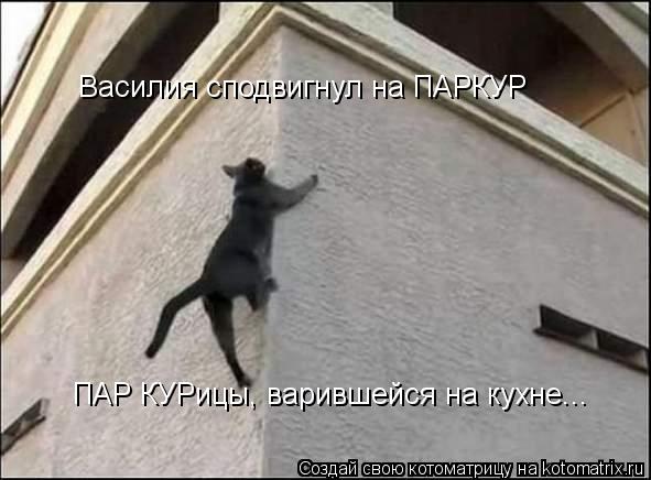 Василия сподвигнул на ПАРКУР ПАР КУРицы, варившейся на кухне...... Котоматрица: Василия сподвигнул на ПАРКУР ПАР КУРицы, варившейся на кухне...