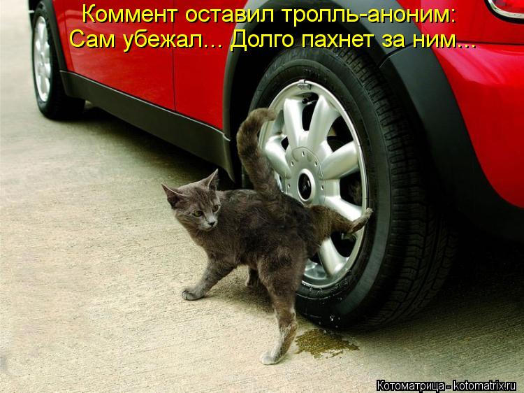 Коммент оставил тролль-аноним: Сам убежал... Долго пахнет за ним...... Котоматрица: Коммент оставил тролль-аноним: Сам убежал... Долго пахнет за ним...