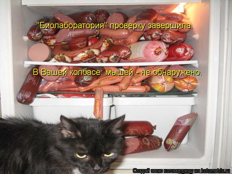 Котоматрица: "Биолаборатория" проверку завершила. В Вашей колбасе: мышей - не обнаружено.
