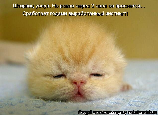 Штирлиц уснул. Но ровно через 2 часа он проснется... Сработает годами выработанный инстинкт!... Котоматрица: Штирлиц уснул. Но ровно через 2 часа он проснется... Сработает годами выработанный инстинкт!