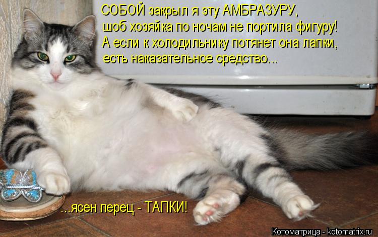 СОБОЙ закрыл я эту АМБРАЗУРУ, шоб хозяйка по ночам не портила фигуру! А если к холодильнику потянет о... Котоматрица: СОБОЙ закрыл я эту АМБРАЗУРУ, шоб хозяйка по ночам не портила фигуру! А если к холодильнику потянет она лапки, есть наказательное средство...