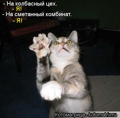 - На колбасный цех. - Я! - На сметанный комбинат. - Я!... Котоматрица: - На колбасный цех. - Я! - На сметанный комбинат. - Я!