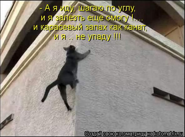 - А я иду, шагаю по углу, и я залезть еще смогу !.... и карасевый запах как канат, и я .. не упаду !!... Котоматрица: - А я иду, шагаю по углу, и я залезть еще смогу !.... и карасевый запах как канат, и я .. не упаду !!!