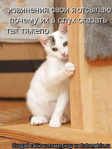 извинения свои я извинения свои я отсылаю почему их в слух сказать так тяжело... Котоматрица: извинения свои я извинения свои я отсылаю почему их в слух сказать так тяжело