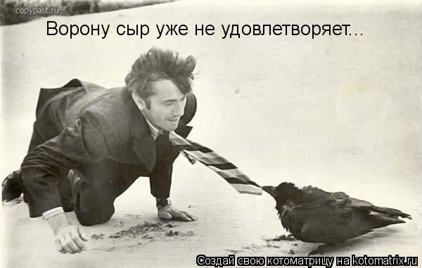 Ворону сыр уже не удовлетворяет...... Котоматрица: Ворону сыр уже не удовлетворяет...