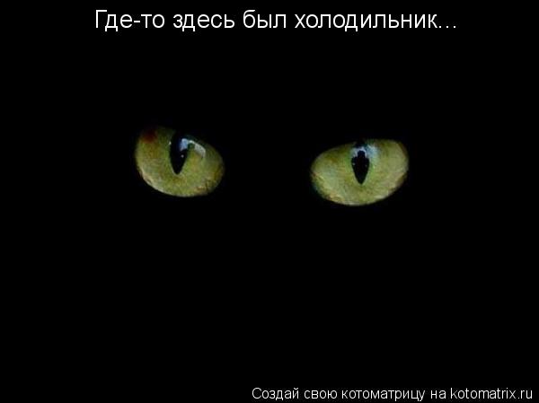 Где-то здесь был холодильник...... Котоматрица: Где-то здесь был холодильник...