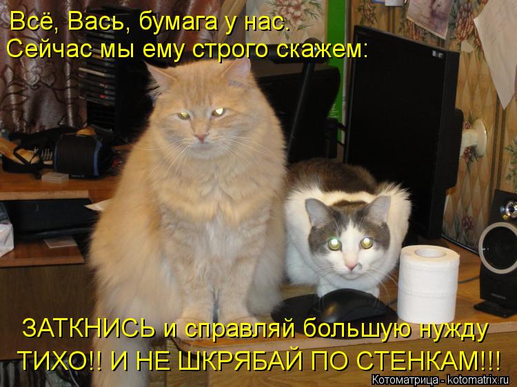 Всё, Вась, бумага у нас. Сейчас мы ему строго скажем: ЗАТКНИСЬ и справляй большую нужду ТИХО!! И НЕ... Котоматрица: Всё, Вась, бумага у нас. Сейчас мы ему строго скажем: ЗАТКНИСЬ и справляй большую нужду ТИХО!! И НЕ ШКРЯБАЙ ПО СТЕНКАМ!!!