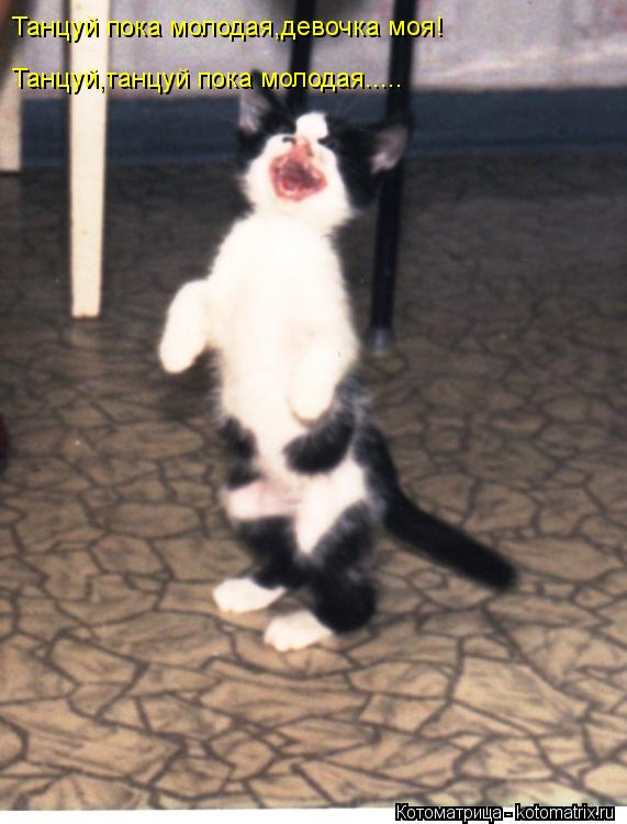 Танцуй пока молодая,девочка моя! Танцуй,танцуй пока молодая........ Котоматрица: Танцуй пока молодая,девочка моя! Танцуй,танцуй пока молодая.....