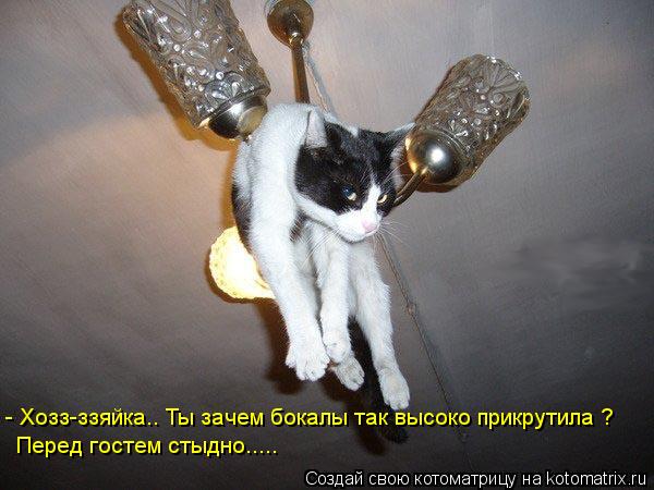 - Хозз-ззяйка.. Ты зачем бокалы так высоко прикрутила ? Перед гостем стыдно........ Котоматрица: - Хозз-ззяйка.. Ты зачем бокалы так высоко прикрутила ? Перед гостем стыдно.....