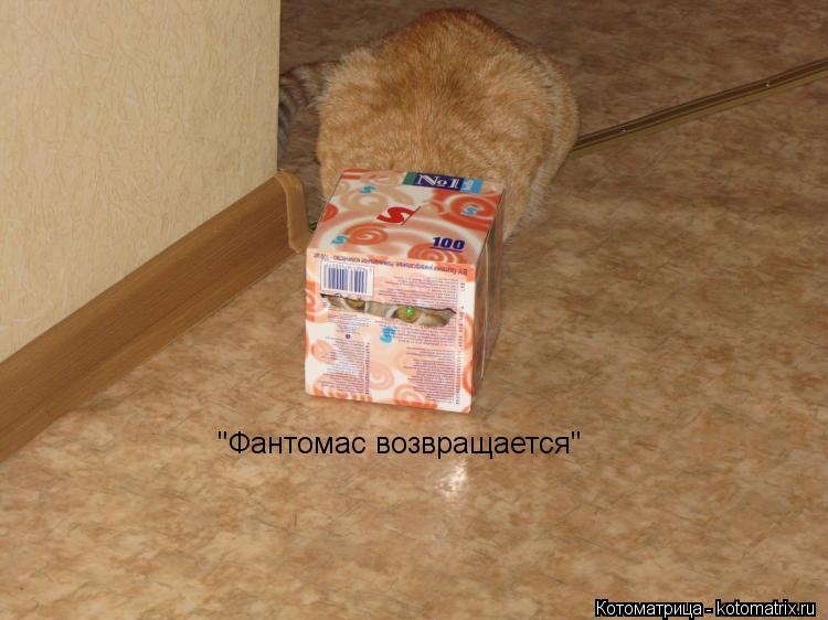 "Фантомас возвращается"... Котоматрица: "Фантомас возвращается"