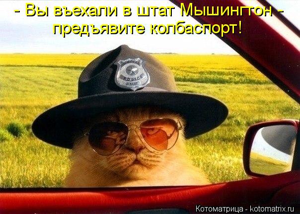 - Вы въехали в штат Мышингтон - предъявите колбаспорт!... Котоматрица: - Вы въехали в штат Мышингтон - предъявите колбаспорт!