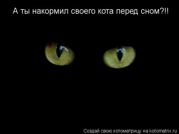 А ты накормил своего кота перед сном?!!... Котоматрица: А ты накормил своего кота перед сном?!!