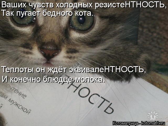 Ваших чувств холодных резистеНТНОСТЬ, Так пугает бедного кота. Теплоты он ждёт эквивалеНТНОСТЬ, И кон... Котоматрица: Ваших чувств холодных резистеНТНОСТЬ, Так пугает бедного кота. Теплоты он ждёт эквивалеНТНОСТЬ, И конечно блюдце молока.