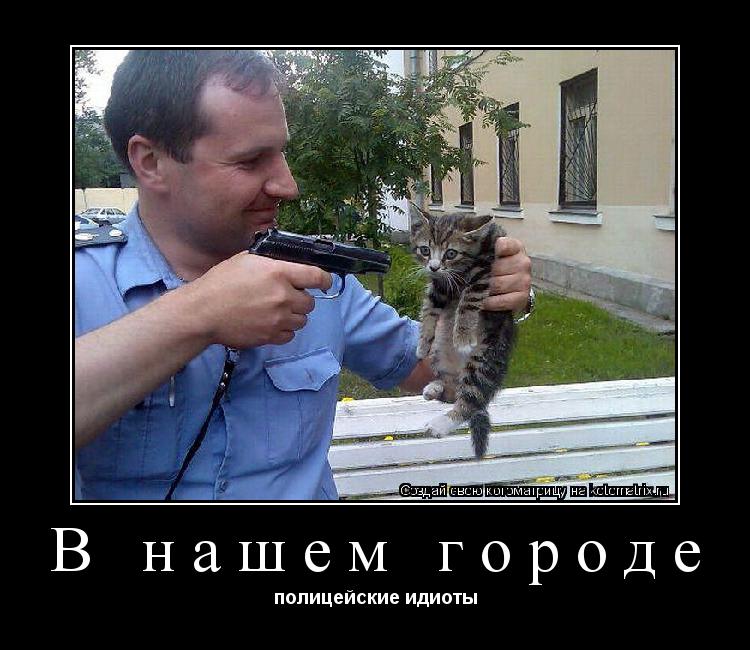 В нашем городе полицейские идиоты... Котоматрица: В нашем городе полицейские идиоты