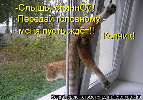 меня пусть ждёт!! Копчик! -Слышь, спиннОй! Передай головному -... Котоматрица: меня пусть ждёт!! Копчик! -Слышь, спиннОй! Передай головному -