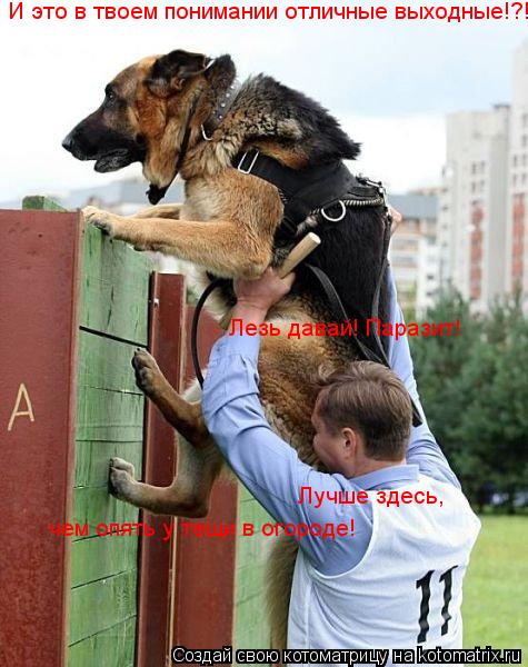 И это в твоем понимании отличные выходные!?!?! Лезь давай! Паразит! Лучше здесь, чем опять у тещи в о... Котоматрица: И это в твоем понимании отличные выходные!?!?! Лезь давай! Паразит! Лучше здесь, чем опять у тещи в огороде!
