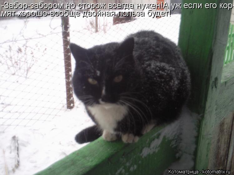 -Забор-забором,но сторож всегда нужен!А уж если его кор- мят хорошо-вообще двойная польза будет!... Котоматрица: -Забор-забором,но сторож всегда нужен!А уж если его кор- мят хорошо-вообще двойная польза будет!