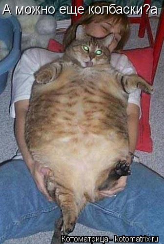 А можно еще колбаски?а... Котоматрица: А можно еще колбаски?а