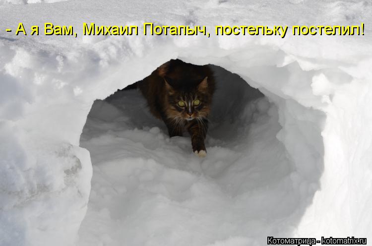- А я Вам, Михаил Потапыч, постельку постелил!... Котоматрица: - А я Вам, Михаил Потапыч, постельку постелил!
