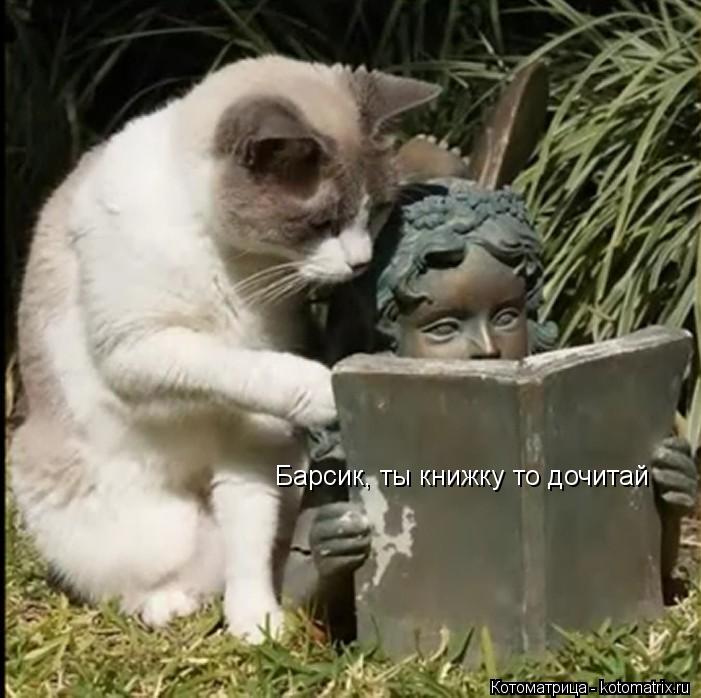 Барсик, ты книжку то дочитай... Котоматрица: Барсик, ты книжку то дочитай