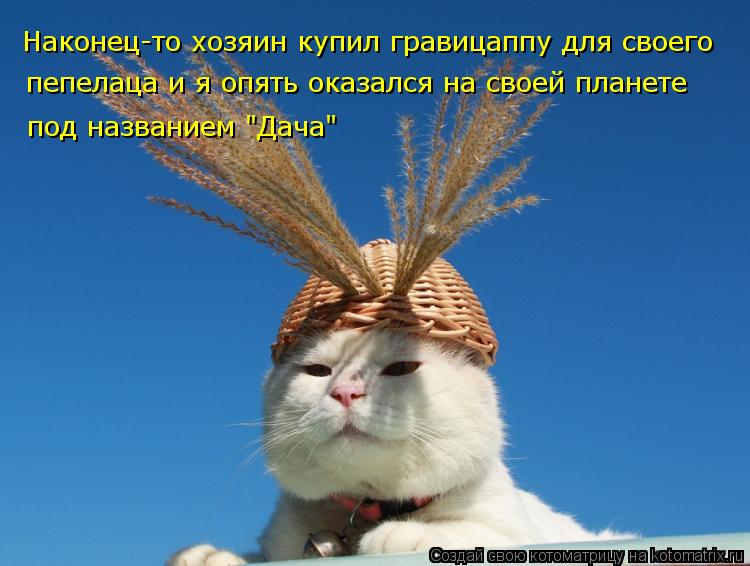 Наконец-то хозяин купил гравицаппу для своего пепелаца и я опять оказался на своей планете под назва... Котоматрица: Наконец-то хозяин купил гравицаппу для своего пепелаца и я опять оказался на своей планете под названием "Дача"