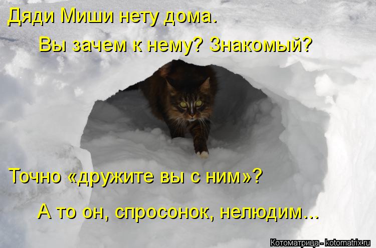 Котоматрица: Дяди Миши нету дома.  Вы зачем к нему? Знакомый? Точно «дружите вы с ним»?  А то он, спросонок, нелюдим...