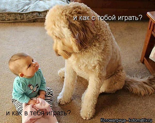 и как в тебя играть? и как с тобой играть?... Котоматрица: и как в тебя играть? и как с тобой играть?
