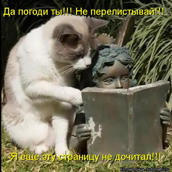 Да погоди ты!!! Не перелистывай!!! Да погоди ты!!! Не перелистывай!!! Я еще эту страницу не дочитал... Котоматрица: Да погоди ты!!! Не перелистывай!!! Да погоди ты!!! Не перелистывай!!! Я еще эту страницу не дочитал!!!
