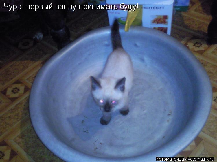 -Чур,я первый ванну принимать буду!... Котоматрица: -Чур,я первый ванну принимать буду!