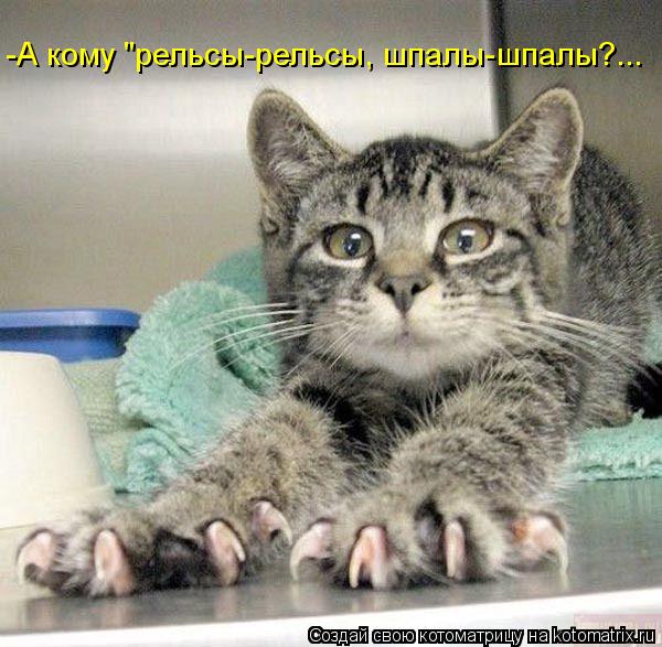-А кому "рельсы-рельсы, шпалы-шпалы?...... Котоматрица: -А кому "рельсы-рельсы, шпалы-шпалы?...