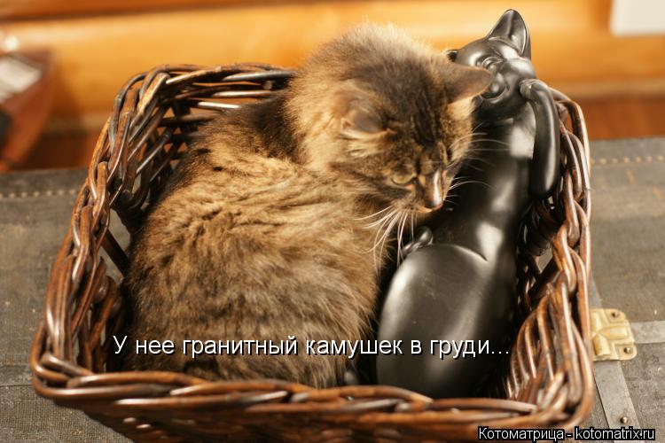 У нее гранитный камушек в груди...... Котоматрица: У нее гранитный камушек в груди...