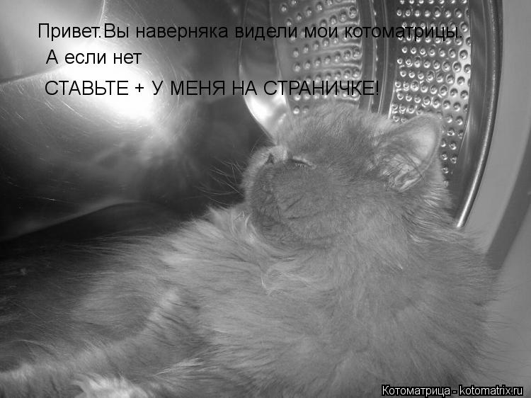 Привет.Вы наверняка видели мои котоматрицы. А если нет СТАВЬТЕ + У МЕНЯ НА СТРАНИЧКЕ!... Котоматрица: Привет.Вы наверняка видели мои котоматрицы. А если нет СТАВЬТЕ + У МЕНЯ НА СТРАНИЧКЕ!