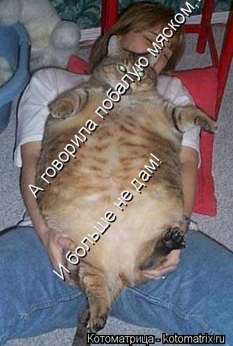 А говорила побалую мяском,и больше не дам! И больше не дам!... Котоматрица: А говорила побалую мяском,и больше не дам! И больше не дам!
