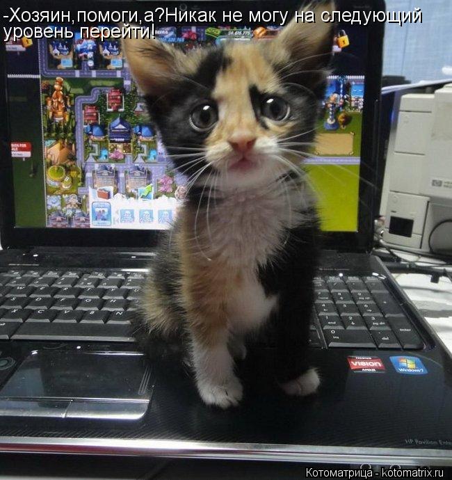 -Хозяин,помоги,а?Никак не могу на следующий уровень перейти!... Котоматрица: -Хозяин,помоги,а?Никак не могу на следующий уровень перейти!