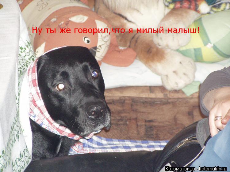 Ну ты же говорил,что я милый малыш!... Котоматрица: Ну ты же говорил,что я милый малыш!