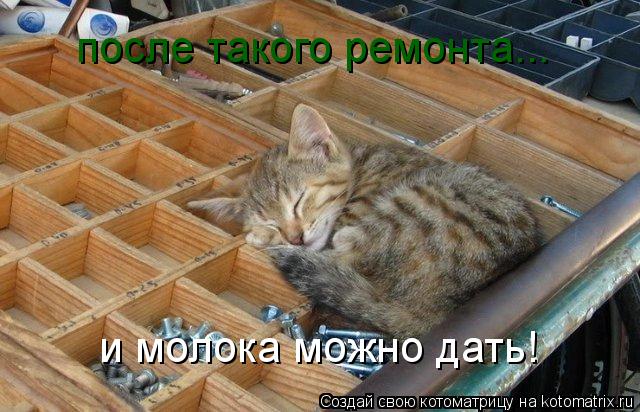 после такого ремонта... и молока можно дать!... Котоматрица: после такого ремонта... и молока можно дать!