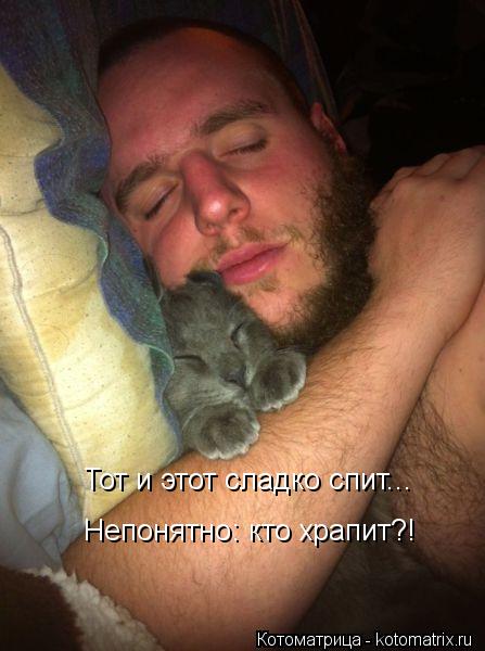 Тот и этот сладко спит... Непонятно: кто храпит?!... Котоматрица: Тот и этот сладко спит... Непонятно: кто храпит?!