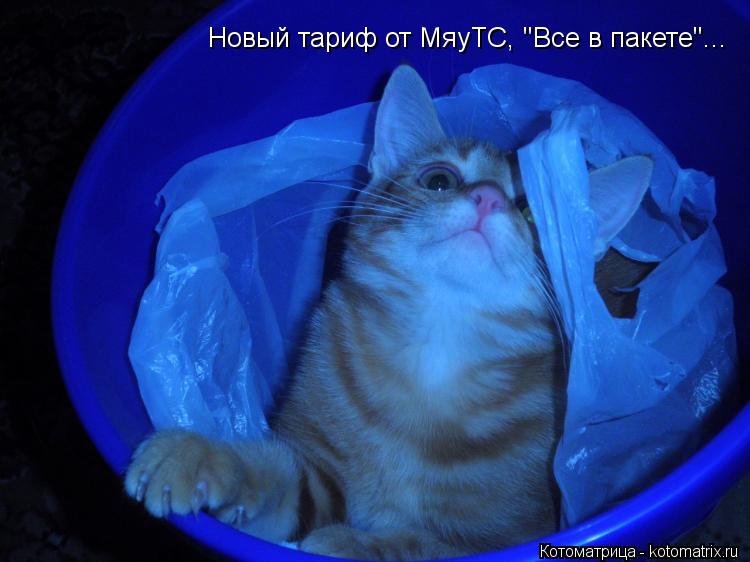 Новый тариф от МяуТС, "Все в пакете"...... Котоматрица: Новый тариф от МяуТС, "Все в пакете"...