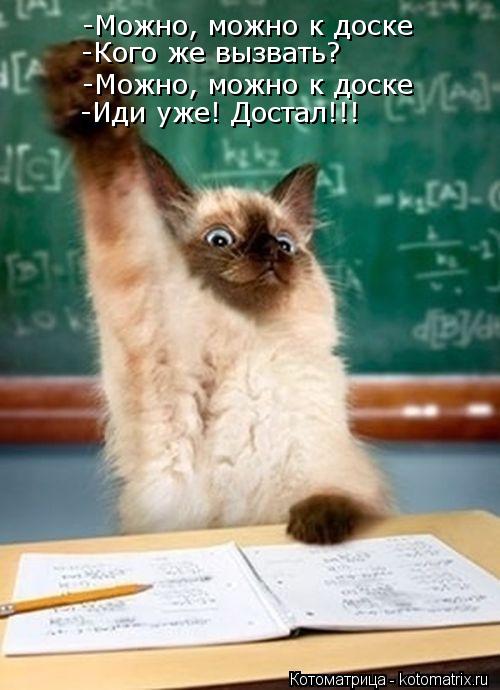 -Можно, можно к доске -Можно, можно к доске -Кого же вызвать? -Иди уже! Достал!!!... Котоматрица: -Можно, можно к доске -Можно, можно к доске -Кого же вызвать? -Иди уже! Достал!!!