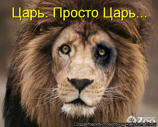 Царь. Просто Царь...... Котоматрица: Царь. Просто Царь...