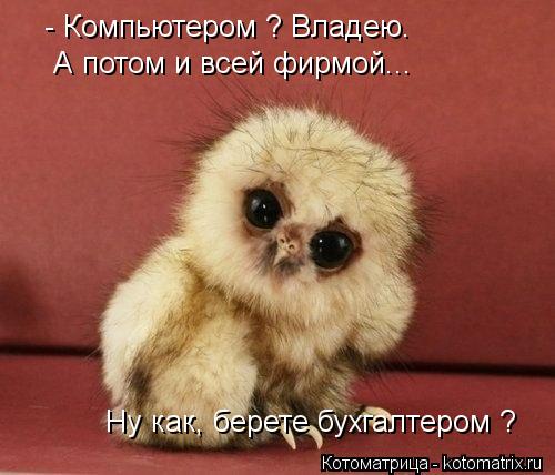 - Компьютером ? Владею. А потом и всей фирмой... Ну как, берете бухгалтером ?... Котоматрица: - Компьютером ? Владею. А потом и всей фирмой... Ну как, берете бухгалтером ?